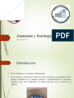 Presentacion Anatomia y Fisiologia Ojo