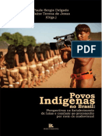 LIVRO - Povos Indígenas No Brasil