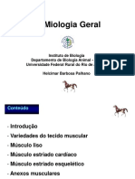 Miologia Geral Iz