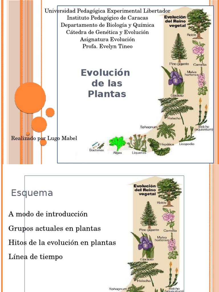 Evolución de las Plantas