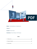 Final Sustentabilidad en La Organización