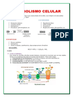 Metabolismo Celular