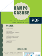Campo Casabe