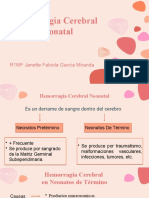 Hemorragia Cerebral Neonatal: Causas, Clasificación y Diagnóstico