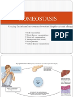 Homeostasis: Keeping The Internal Environment Constant Despite External Changes