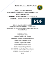 Proyecto Extension Oficial
