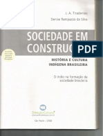 Influencias afro brasileiras - 2008 - livro sociedade em construção