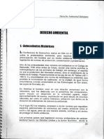 Derecho Ambiental