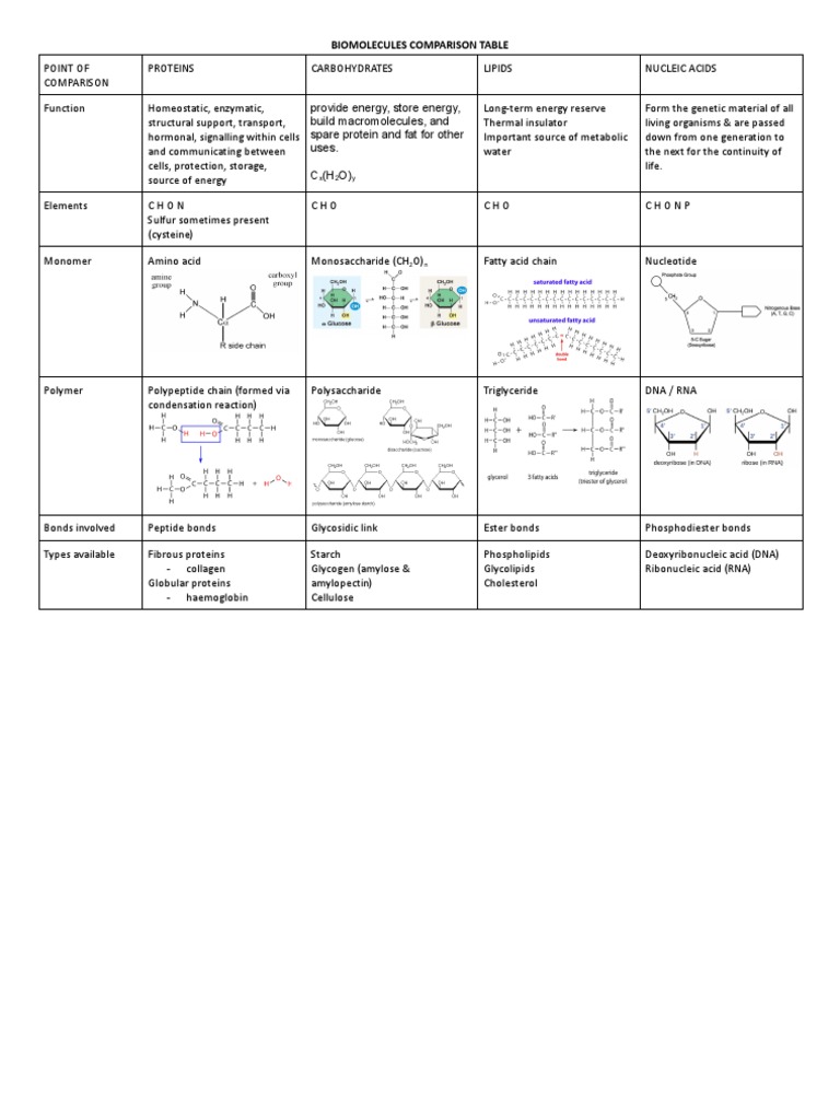 Biomolecules Table PDF