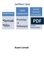 Klasifikasi dan Fungsi Lipid Utama