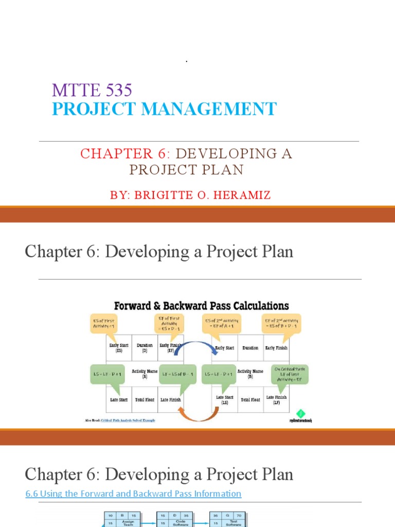 Project Plan Development Techniques | PDF | Software Testing | Lag