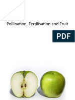 1.4 Pollination Fertilisation Fruits