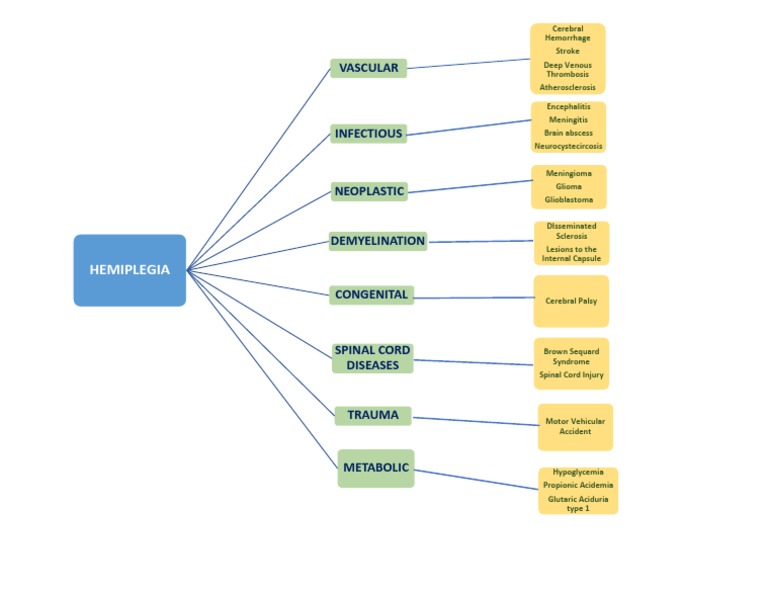Hemiplegia Algorithm | PDF
