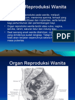 Sistem Reproduksi Wanita 120202035924 Phpapp02