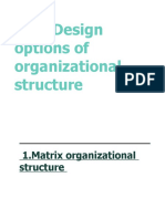 New Design Options of Organizational Structure