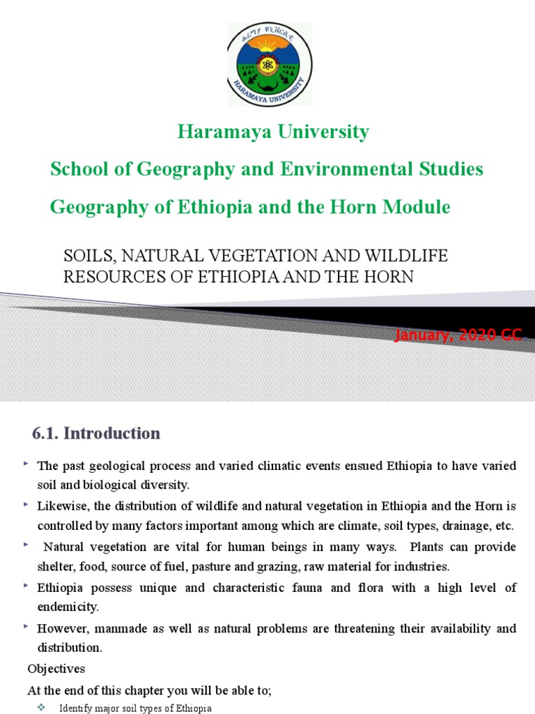 Geo Chapter 6 | PDF | Soil | Weathering