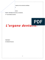 2) L'organe Dentaire