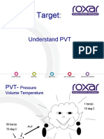 Target:: Understand PVT
