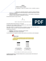 Lipídios: estrutura, função e regulação do metabolismo