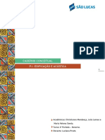 P.I. 6 - Caderno Conceitual