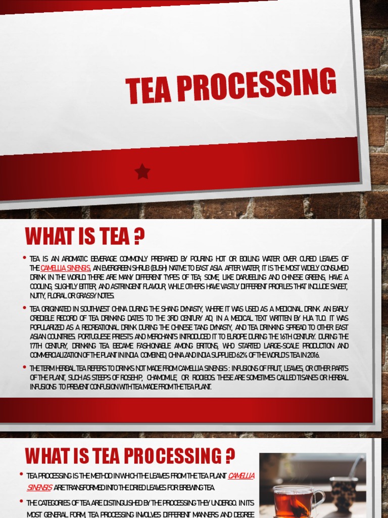 TEA Processing | PDF | Tea | Hot Drinks