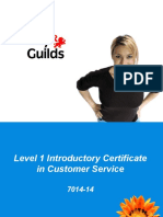 7014-14 Introductory Certificate in Customer Service Slides