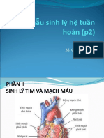 Sinh Lý Tuần Hoàn