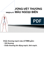 Chấn Thương Mạch Máu Ngoại Biên - Thầy Đức