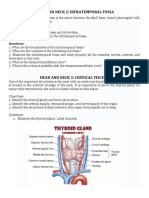 Head and Neck 2: Infratemporal Fossa: Questions