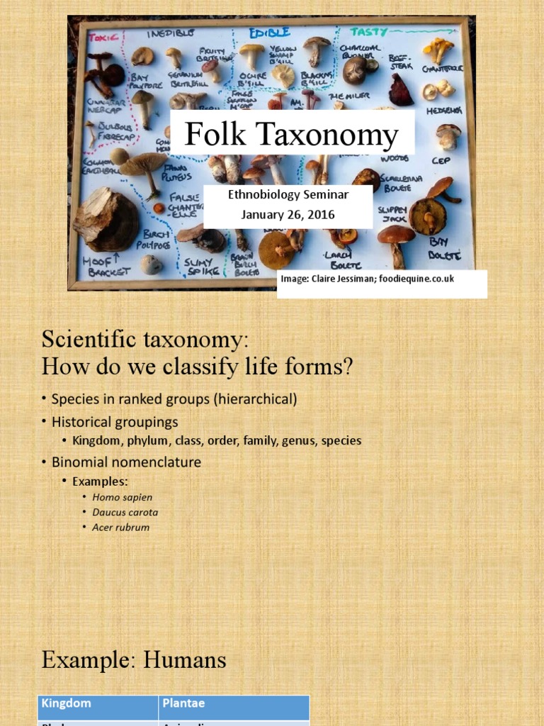 Folk Taxonomy Ethnobiology Seminar January 26, 2016 PDF Taxonomy