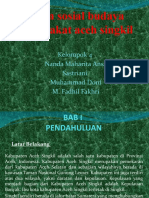 Sistem Sosial Budaya Masyarakat Aceh Singkil