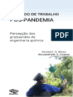 E Book Mercado de Trabalho Pós Pandemia PDF