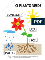 What Do Plants Need Colored Diagram Unlocked