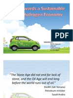 Towards A Sustainable Hydrogen Economy