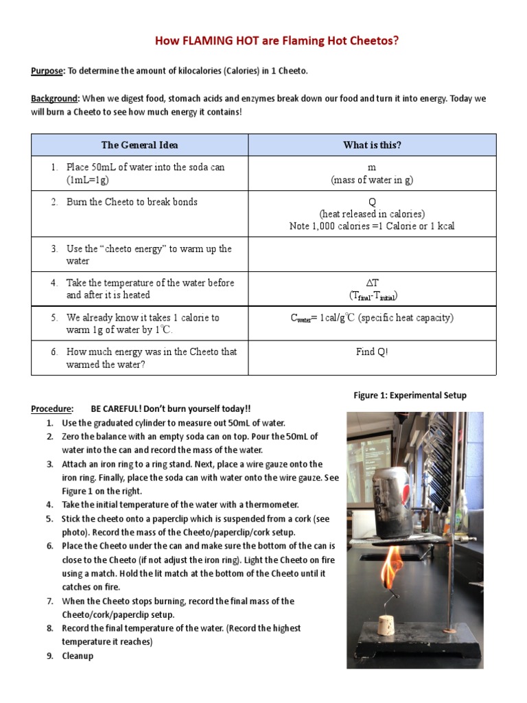 Cheeto Lab 2021 Rose PDF Calorie Chemistry