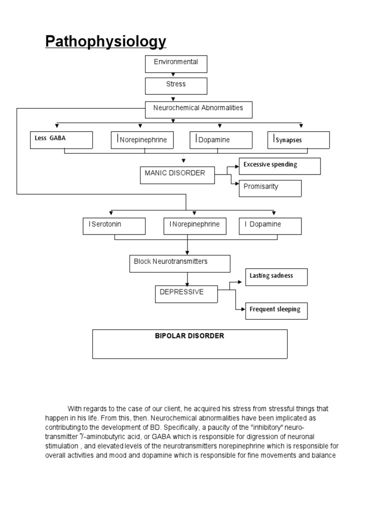 Pathophysiology of Bipolar Disorder | PDF | Neurotransmitter | Bipolar ...