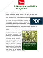 Fertilizacion Nitrogenada Aguacate