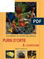 Les Plantes Au Secours Des Plantes Purin D Ortie Et Compagnie