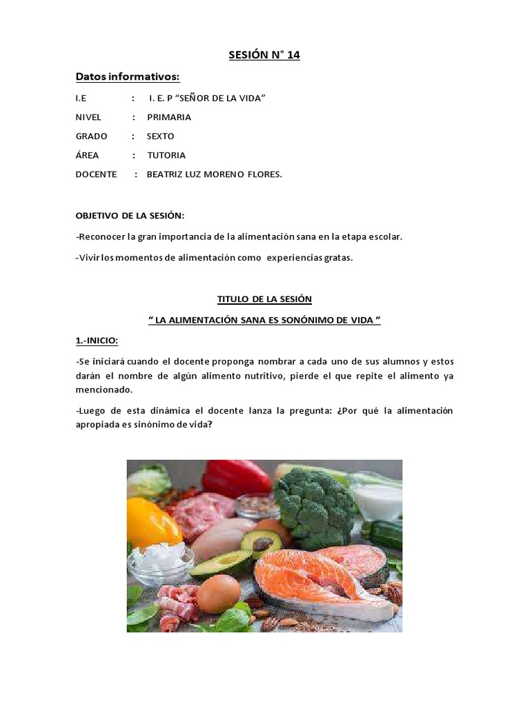 Sesion 14 Tutoria 2021 La Alimentacion Sana Pdf