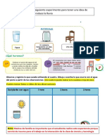 Ficha Del Experimento