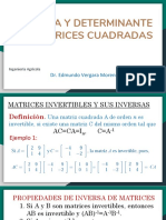 Algebra Lineal - Determinantes-Inversa de Una Matriz
