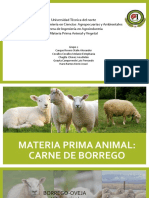 Grupo2 - Materia Prima Animal - Borrego