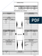 13 DT Capacitacion