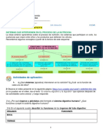 C 3 Sistema Digestivo 2do Trimestre