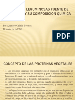 Proteínas vegetales: composición y fuentes de legumbres y soya