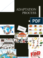 Adaptation Process