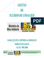 Apresentação - Gestão de Fuidos de Usinagem (58009)