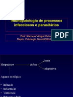 Imunopatologia
