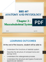 Chapter 3 Musculoskeletal Systems Part 2