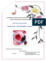 Embriologia y Anatomia Ocular UNSAAC
